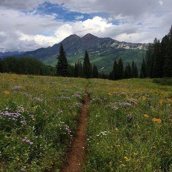 San Moritz Condominiums Mount Crested Butte Εξωτερικό φωτογραφία